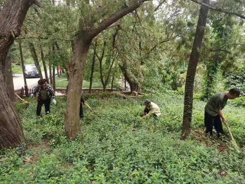 濟南市靈巖寺景區(qū)加強環(huán)境整治,提升景區(qū)旅游品質